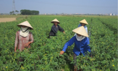 Đảng bộ huyện Yên Định (Thanh Hóa) lãnh đạo xây dựng nông thôn mới